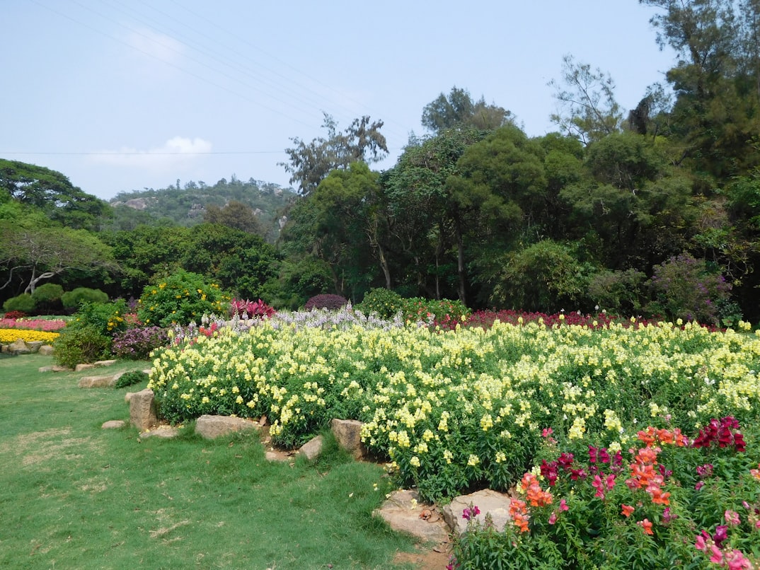 Chungse Flower Garden